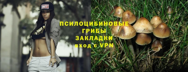 дурь Алексеевка
