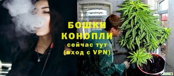 spice Арсеньев
