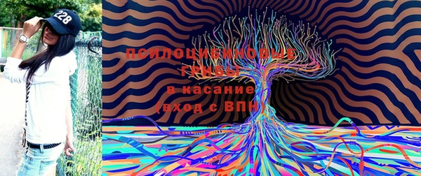 соль ск Аркадак