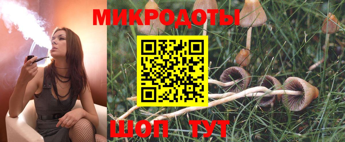 где можно купить   Вход с VPN  Геленджик  Псилоцибиновые грибы Magic Shrooms 