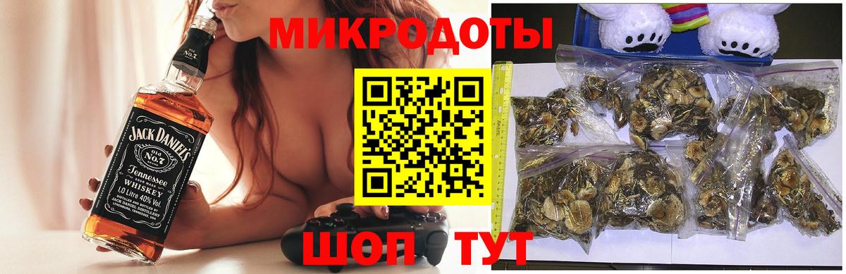 Галлюциногенные грибы прущие грибы Геленджик
